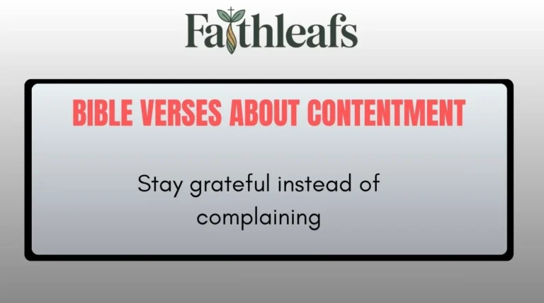 Bible Verses About Contentment