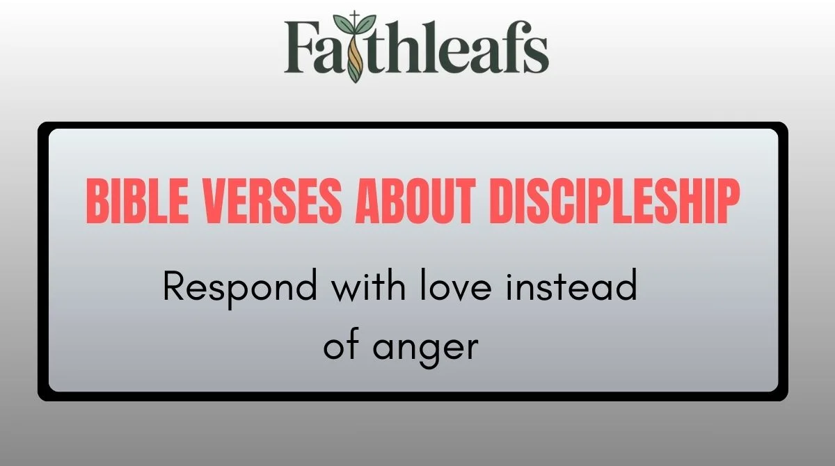 50 Bible Verses About Discipleship: Following Jesus With Faith ...