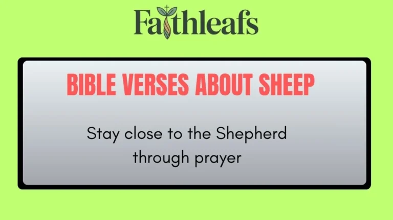 Bible Verses About Sheep