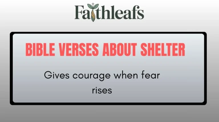 Bible Verses About Shelter