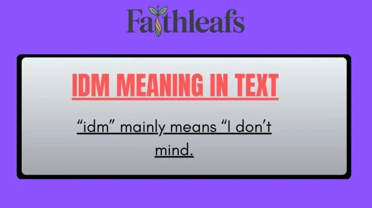 IDM Meaning in Text