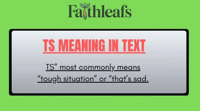 TS Meaning in Text