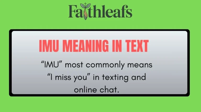 IMU Meaning in Text