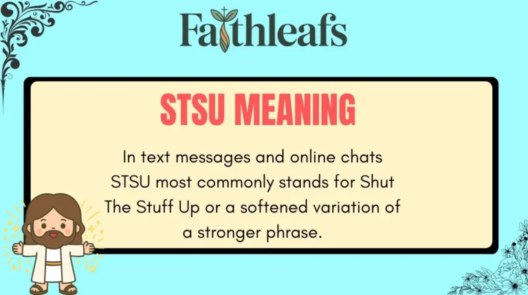 STSU Meaning